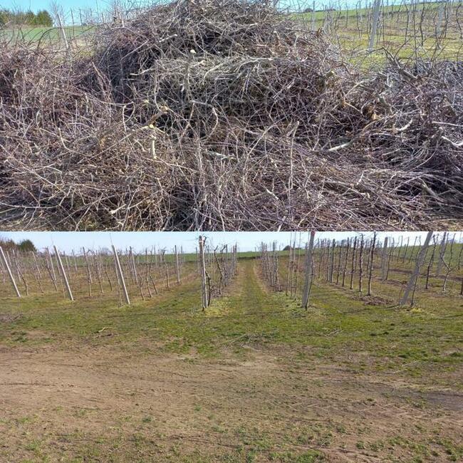 WYWÓZ Gałęzi Liści Gruzu Mebli Śmieci Sprzątanie działek