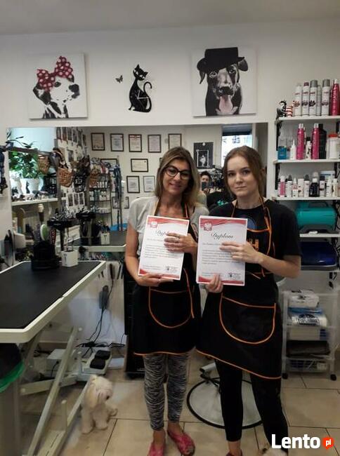 KURS GROOMINGU-STRZYŻENIE PSÓW ZAPRASZAMY SALON HAU-MIAŁ