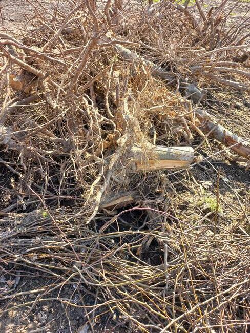 Wywóz Śmieci Utylizacja Mebli Sprzątanie Działek Opróżnianie