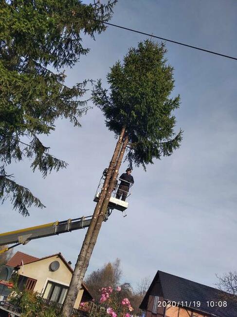 Czyszczenie działek z zarosli drzew korzeni rekultywacja