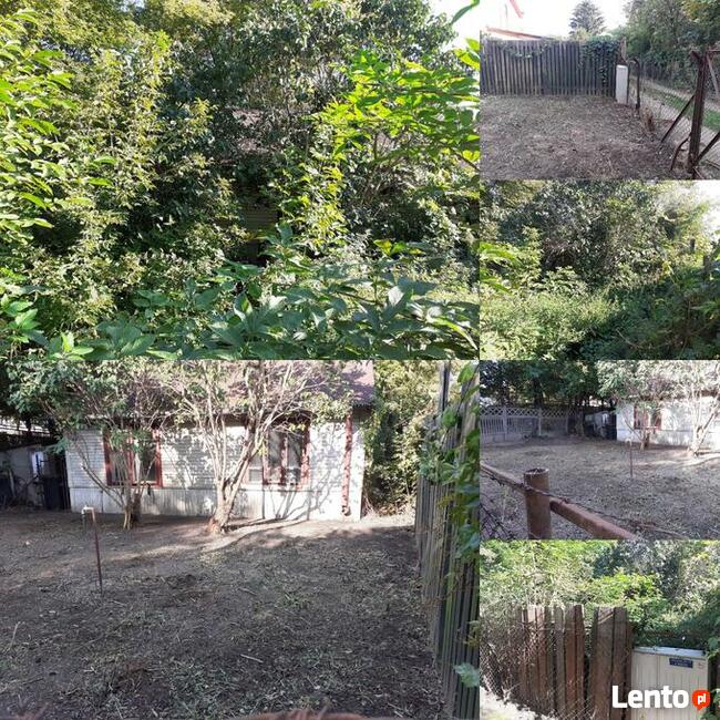 Wycinka Drzew Karczowanie Działek Utylizacja Gałęzi Wywóz