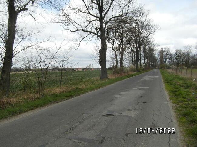 TANIE, DUŻE DZIAŁKI POD ZABUDOWĘ JEDNORODZINNĄ BLISKO KUTNA