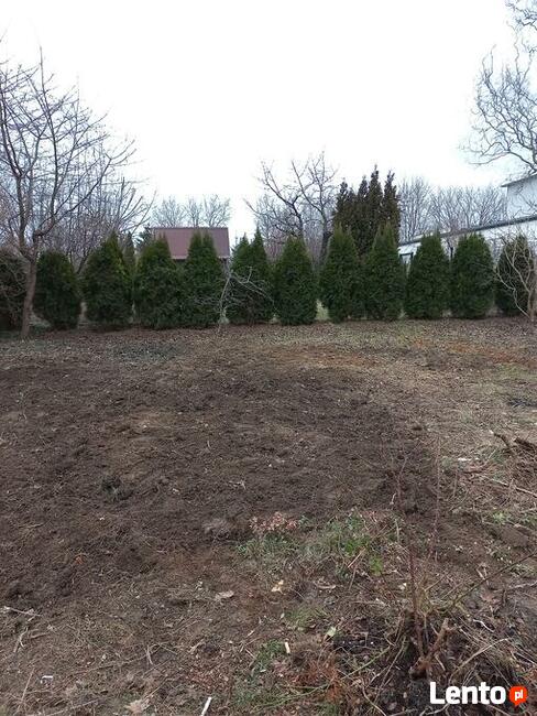 Wycinka Drzew Karczowanie Działek Utylizacja Gałęzi Wywóz