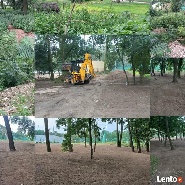 Wycinka Drzew Karczowanie Działek Utylizacja Gałęzi Wywóz