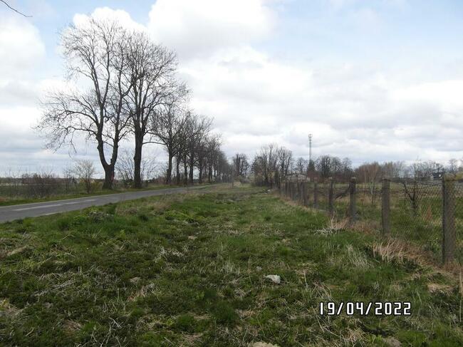 TANIE, DUŻE DZIAŁKI POD ZABUDOWĘ JEDNORODZINNĄ BLISKO KUTNA