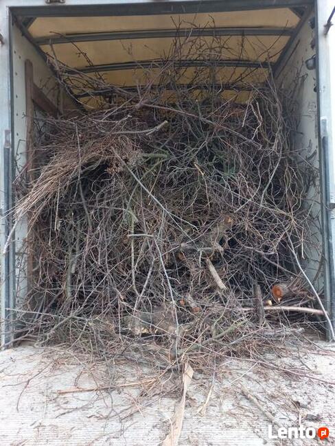 Wycinka Drzew Karczowanie Działek Utylizacja Gałęzi Wywóz