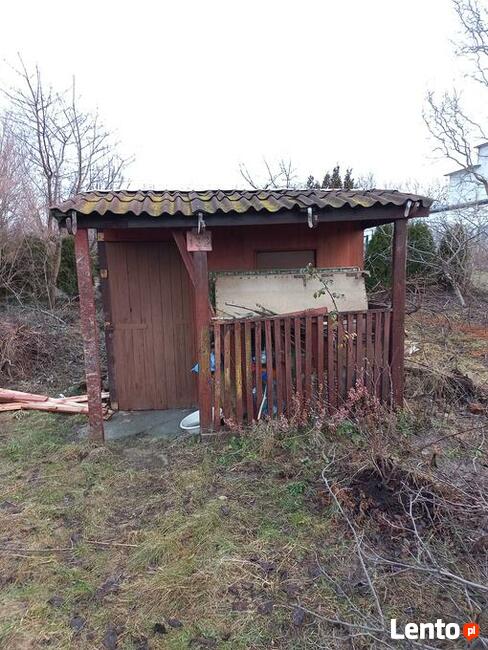 Wycinka Drzew Karczowanie Działek Utylizacja Gałęzi Wywóz