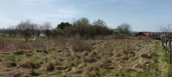 Działka w Rybnej 44 ar