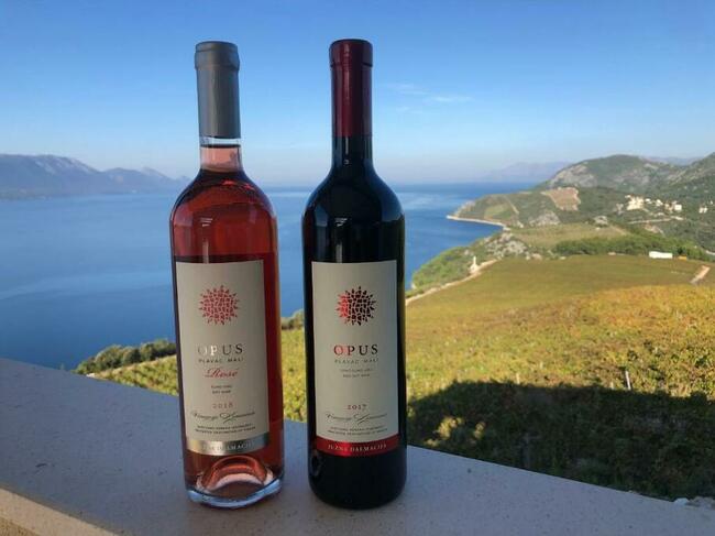 CHORWACJA 8 dni lot Wroclaw Dubrownik na 2026 r pobyt 1990z