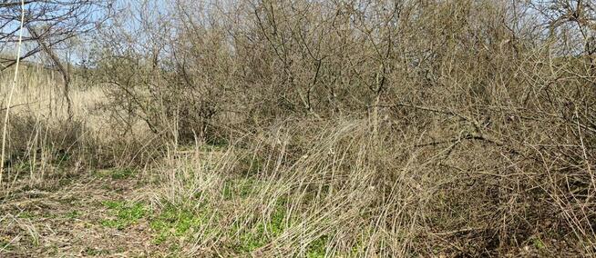 Działka Czułówek 18ar