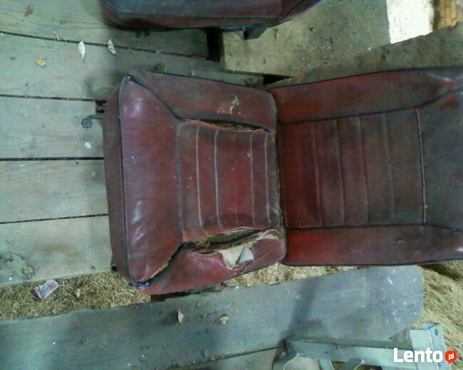 Tarpan, Fiat, Trabant,