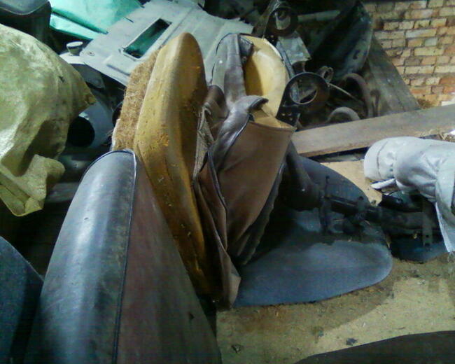 Tarpan, Fiat, Trabant,