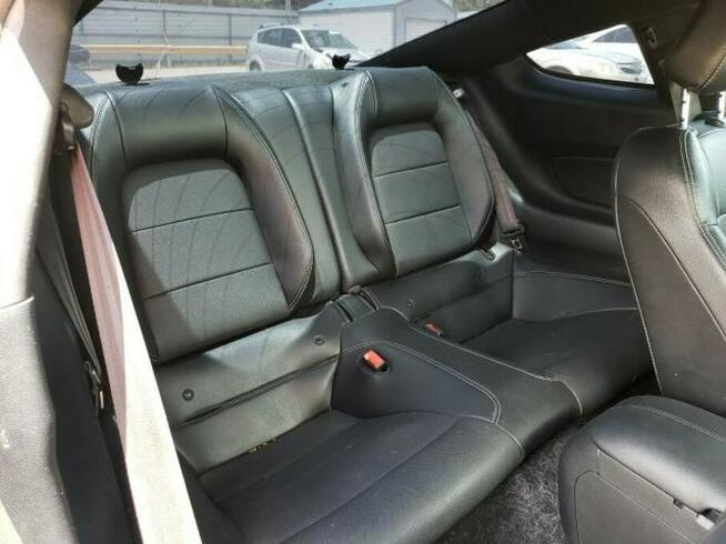 Ford Mustang 2019, 2.3L, po gradobiciu