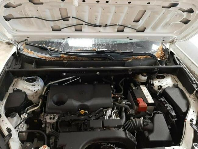 Toyota RAV-4 2019, 2.5L, LE, po gradobiciu