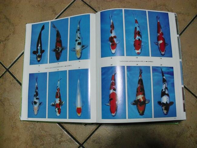 Atlas słodkowodnych ryb akwariowych-Dr Axelrod-1992r. -