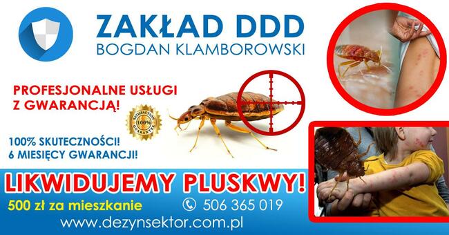 Pluskwy Świnoujście. Zwalczamy pluskwy w Świnoujściu