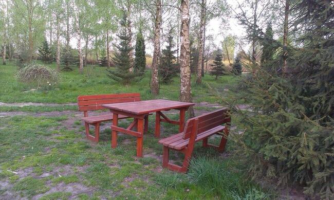 Dochodową działkę z plantacją borówki amerykańskiej sprzedam