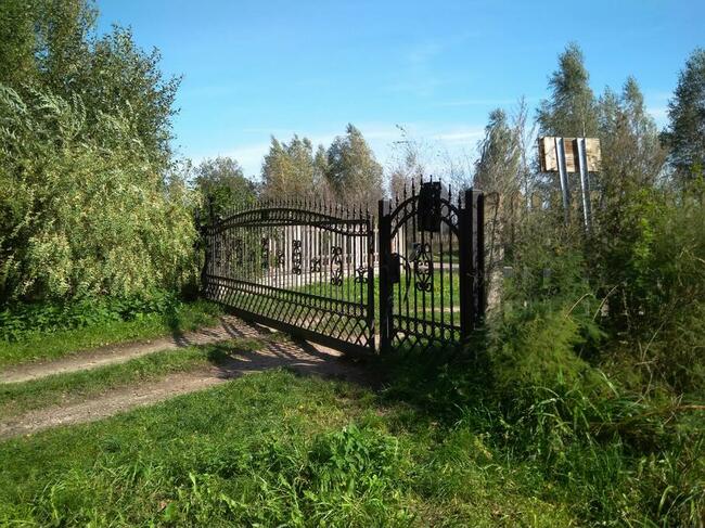 Dochodową działkę z plantacją borówki amerykańskiej sprzedam