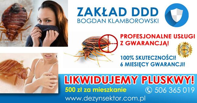 Pluskwy Świnoujście. Zwalczamy pluskwy w Świnoujściu