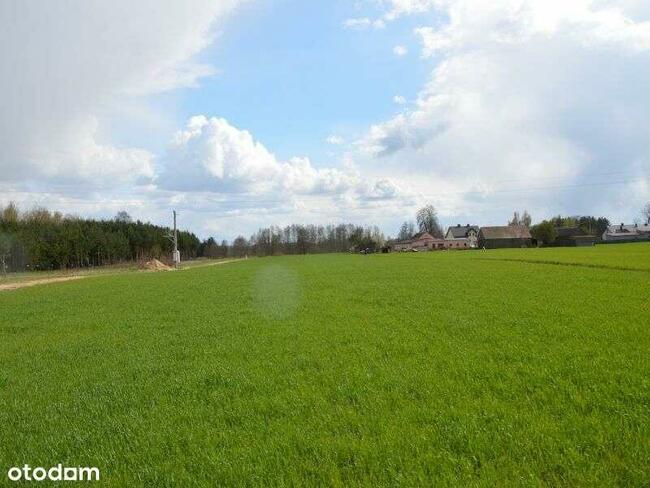 Działki w pięknej okolicy wśród lasów i jezior