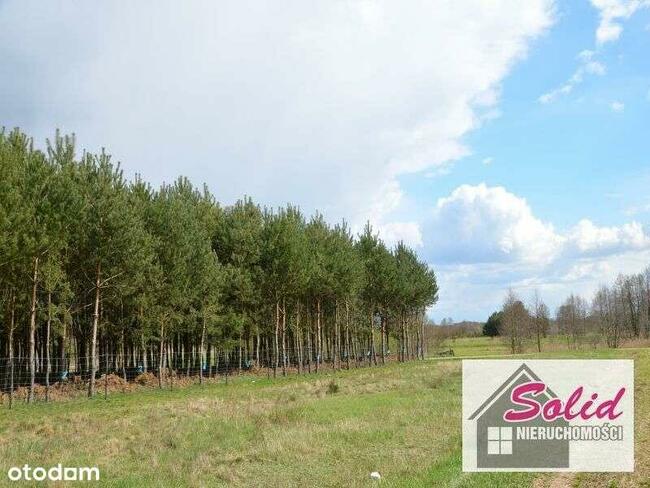 Działki w pięknej okolicy wśród lasów i jezior
