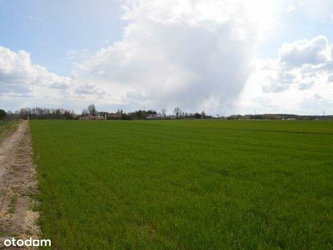 Działki w pięknej okolicy wśród lasów i jezior