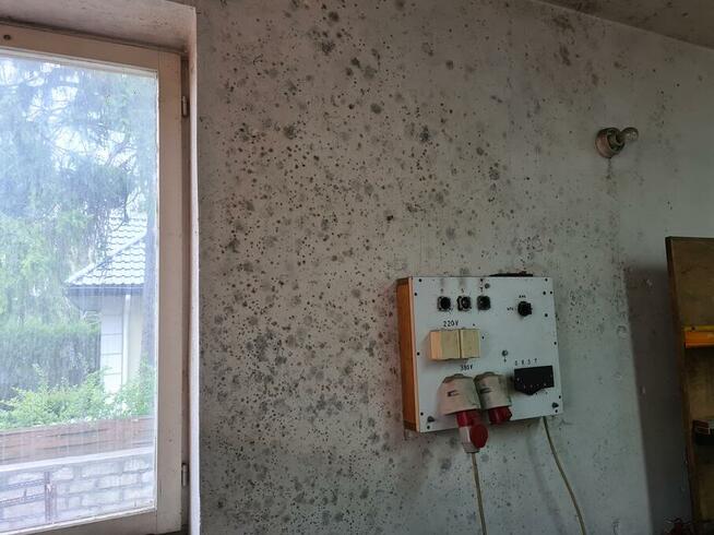 Wynajmę pomieszczenia do nagrywania horrorów, thrillerów