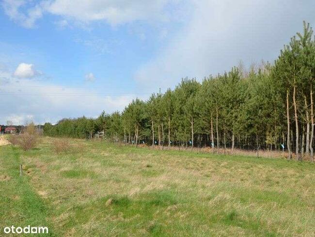 Działki w pięknej okolicy wśród lasów i jezior