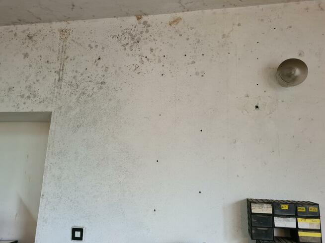 Wynajmę pomieszczenia do nagrywania horrorów, thrillerów