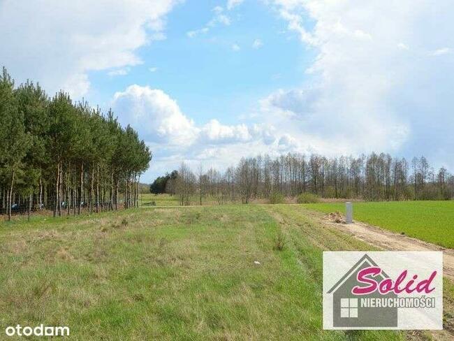 Działki w pięknej okolicy wśród lasów i jezior