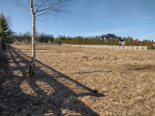 Najem pod hale, logistykę, skład, usługi, produkcję etc