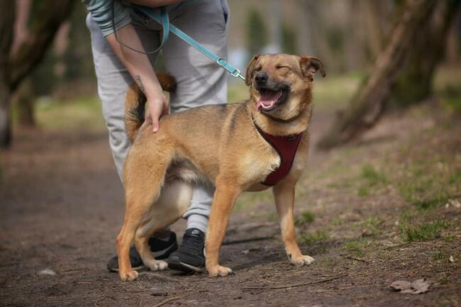 MARINA Z UKRAINY SZUKA DOMU