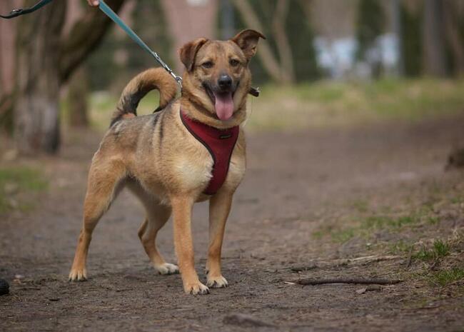 MARINA Z UKRAINY SZUKA DOMU