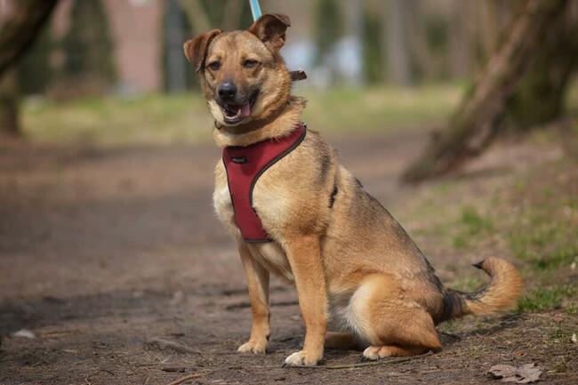 MARINA Z UKRAINY SZUKA DOMU