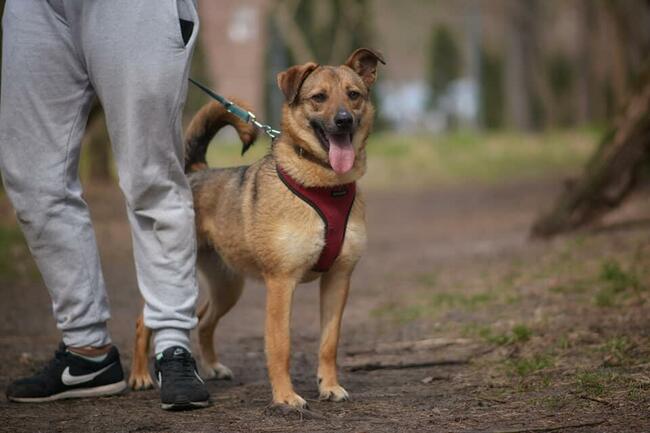 MARINA Z UKRAINY SZUKA DOMU
