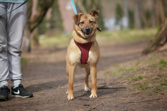 MARINA Z UKRAINY SZUKA DOMU