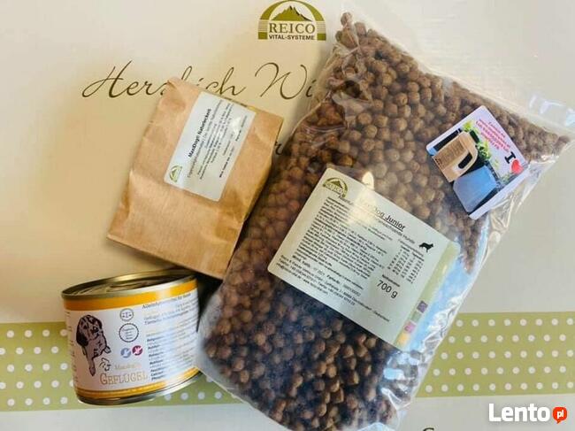 Karma Reico/sprzedaż on-line / doradztwo eksperta Reico