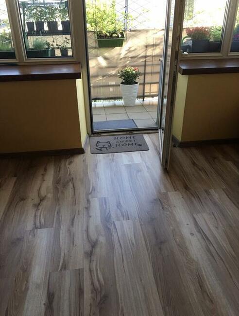 Mieszkanie 2pok 52m2 Nowy Świat, pod biznes parter z ogrodem