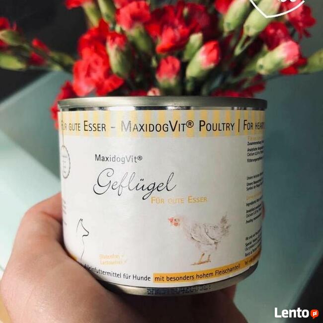 Karma Reico/sprzedaż on-line / doradztwo eksperta Reico