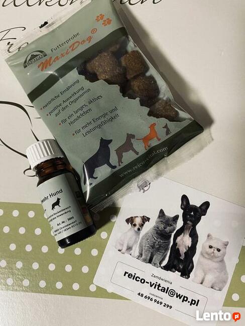 Karma Reico/sprzedaż on-line / doradztwo eksperta Reico