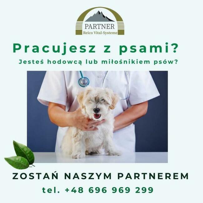 Reico praca dodatkowa w karmie dla zwierzat i suplementach.