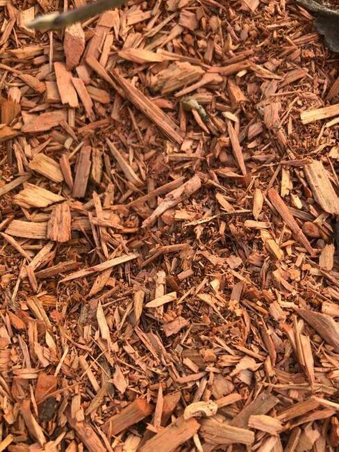 Mulcz Szkółkarski - podłoże 70L