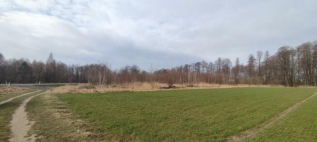 Działka Inwestycyjna – Trasa nr 92