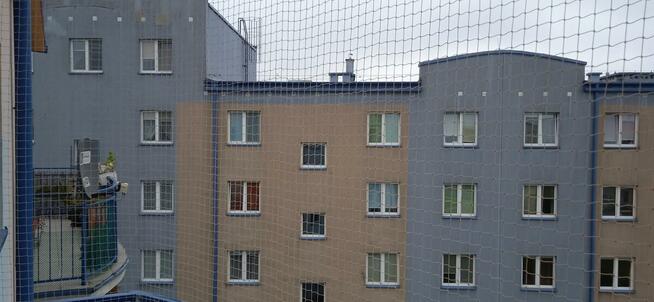 Siatka zabezpieczająca na balkon bez wiercenia