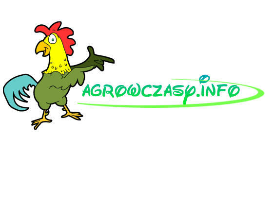 Łagów noclegi Świętokrzyskie Smaki