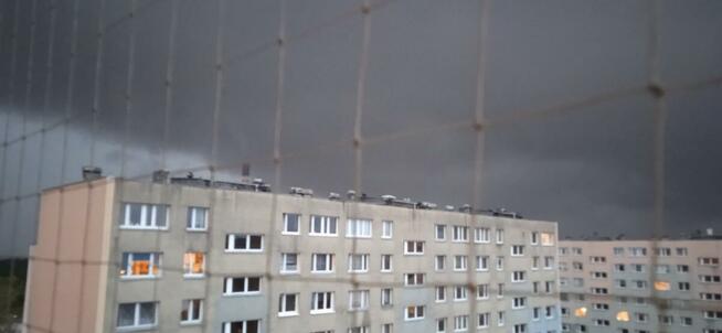 Siatka zabezpieczająca na balkon bez wiercenia