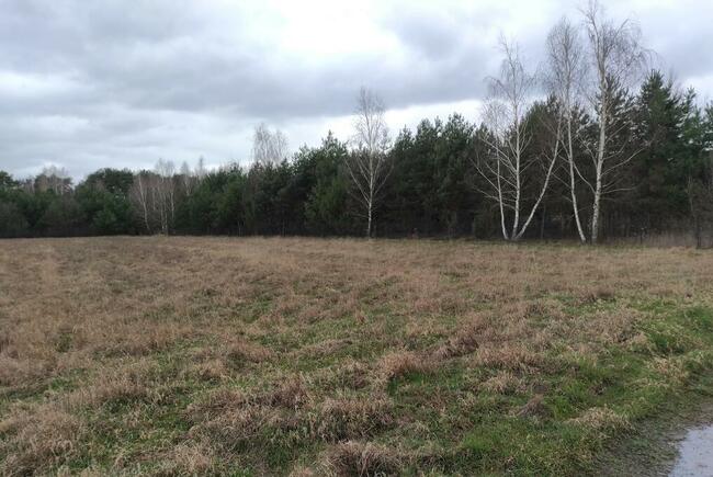 Działka na sprzedaż