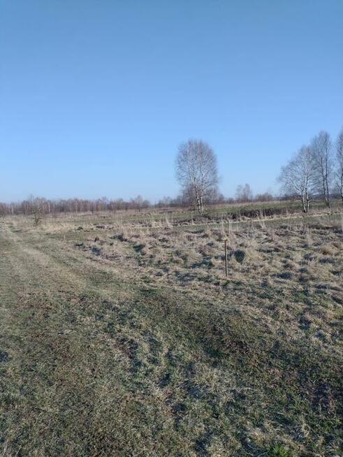 Działki rolne Koziegłowy woj. śląskie- sprzedam.