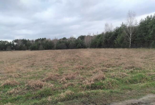 Działka na sprzedaż