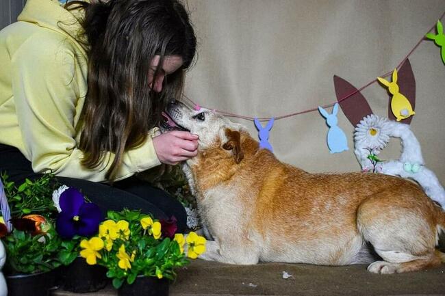 Cudowny staruszek kochający ludzi BŁAGA PILNIE o domek